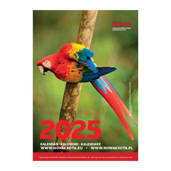 Kalendarz ścienny 2025