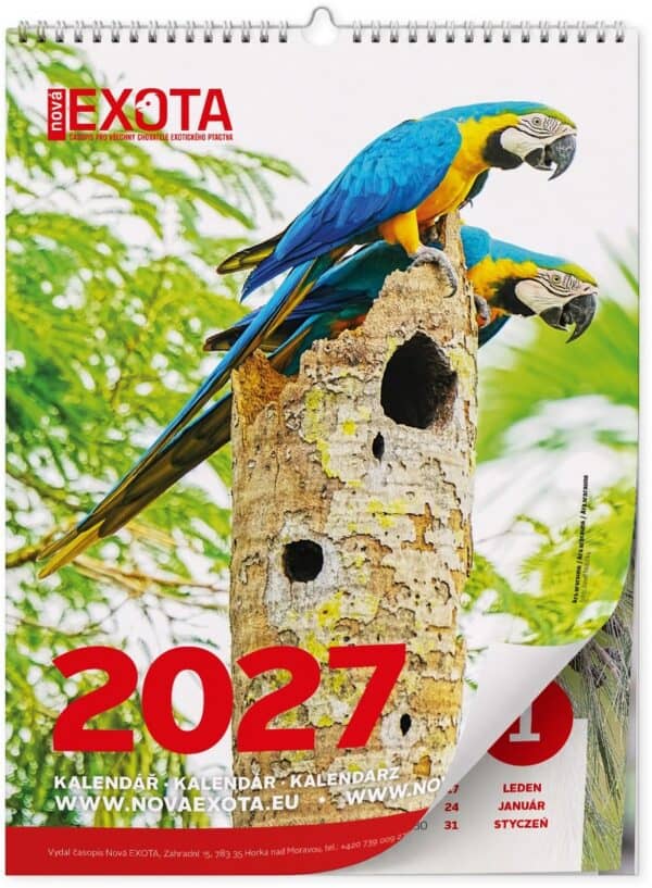 Kalendarz ścienny 2027 - obrazek 2