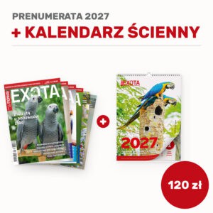 Prenumerata 2027 z kalendarzem ściennym