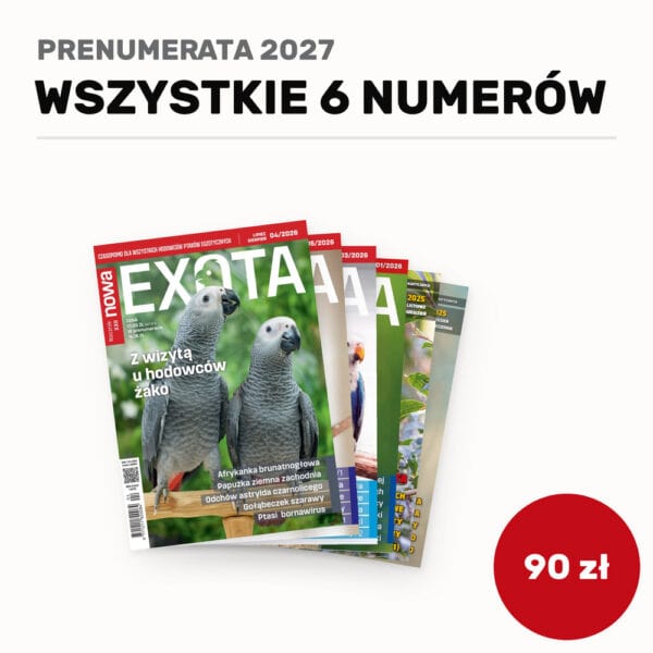 Prenumerata 2027, wszystkie 6 numerów