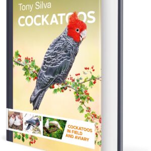 Cockatoos: Cockatoos in Field and Aviary Tony'ego Silvy, przednia strona okładki