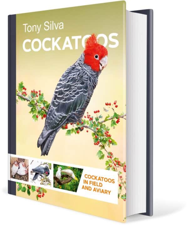Cockatoos: Cockatoos in Field and Aviary Tony'ego Silvy, przednia strona okładki