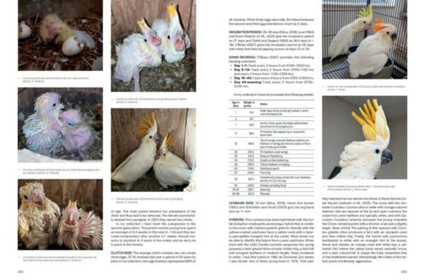 Rozpiska karmienia i masy piskląt dzień po dniu z książki Cockatoos