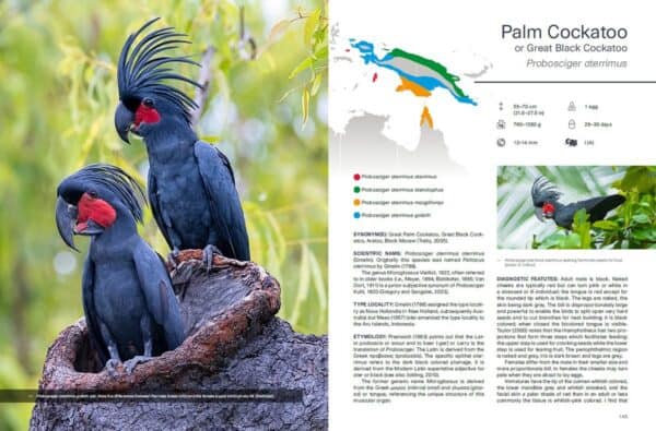 Opis gatunku z książki Cockatoos: kakadu palmowa i mapa zasięgu podgatunków