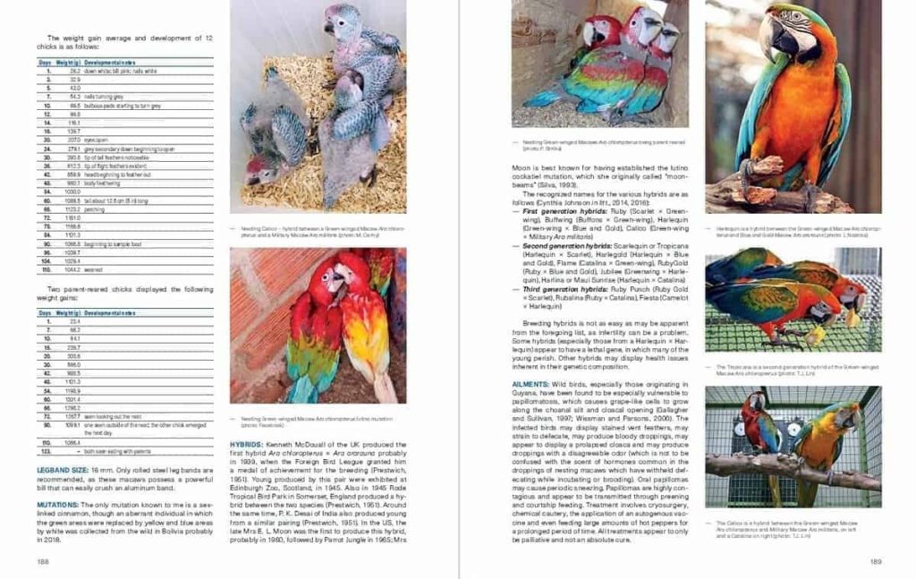 Macaws: Macaws in Field and Aviary by Tony Silva (książka, język ...