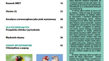 Nowa Exota spis treści 6/2022