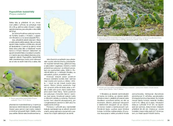 Chováme papoušíčky (książka, język czeski) - obrazek 2