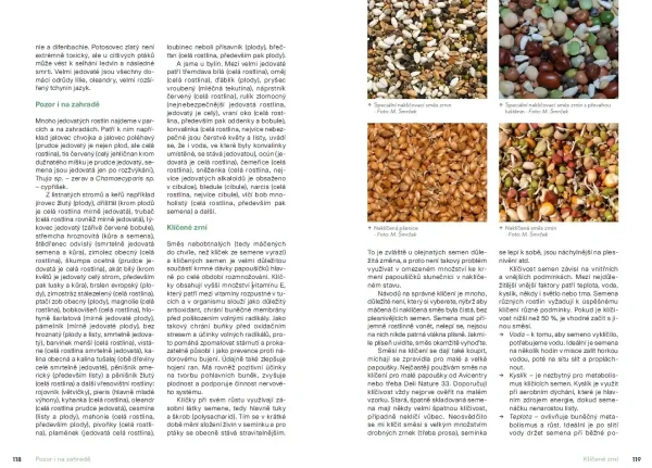 Chováme papoušíčky (książka, język czeski) - obrazek 4