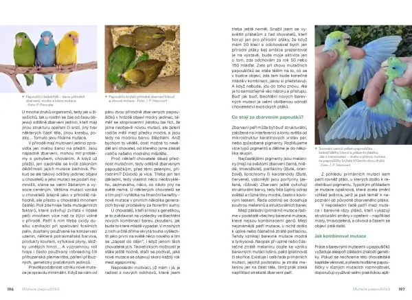 Chováme papoušíčky (książka, język czeski) - obrazek 8