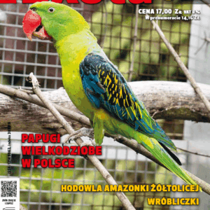 Subskrypcja Nowa Exota na 3/2025-6/2005 (subskrypcja)