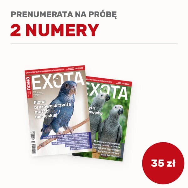 Prenumerata na próbę, 2 numery