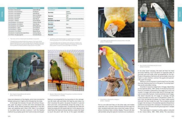 Psittaculture: A Manual for the Care and Breeding of Parrots (książka, język angielski) - obrazek 4