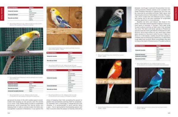 Psittaculture: A Manual for the Care and Breeding of Parrots (książka, język angielski) - obrazek 6